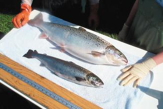 ����������׼����ת�������㷴���������о���