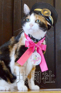 日本猫站长阿玉担任“粉红丝带”宣传大使（图）