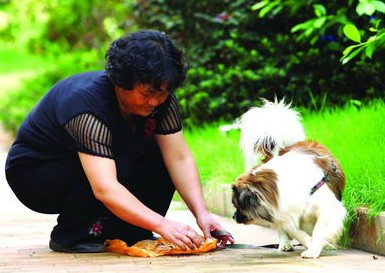 埃及一网友赞日本人:遛狗携袋不雇佣人