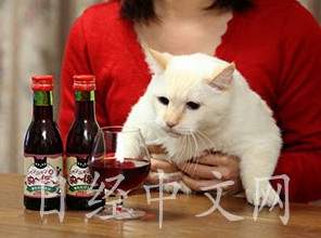 �ձ��Ƴ�������ר�á���ơ���ʵ�����ƾ���ͼ��