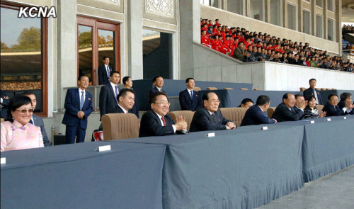 蒙古国总统观看朝鲜蒙古少年足球运动员比赛(图)