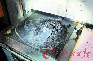 全球首例机器人自杀疑受够家庭琐事后自焚(图)
