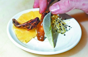 昆虫菜登陆法高级餐厅肥鹅肝酱饼搭配蟋蟀(图)(2)