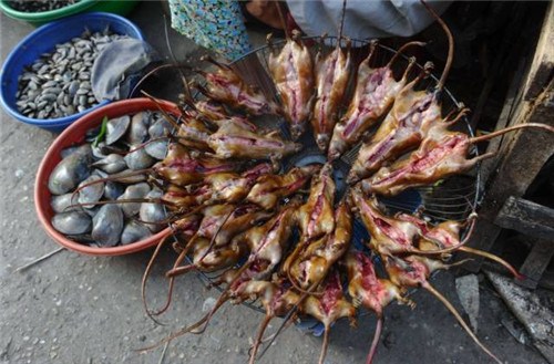 田鼠成越南民众佳肴美味活捉剥皮铁架上烧烤(图)