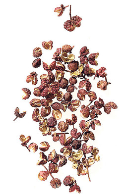 揭秘花椒为何让你麻刺激感如每秒震动50次