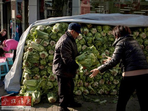 美报:冬储大白菜为何在北京依然流行