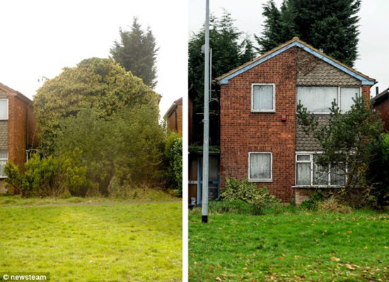 英国一房屋10年间长满植物修剪后判若两样(图)