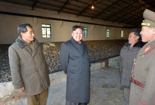 金正恩为朝水产事业所送渔船命名为“枫叶号”
