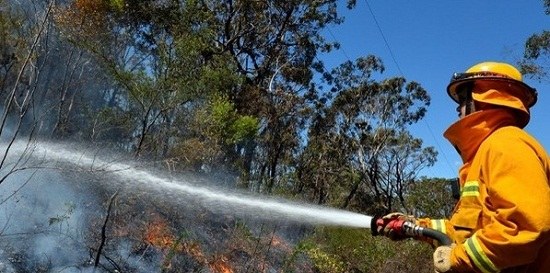 澳大利亚林火致一死数十房屋被毁百人救火(图)