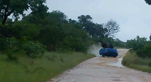 ���¡�͵�ġ����鹫����ŭϮ���������Ʒ���ͼ��