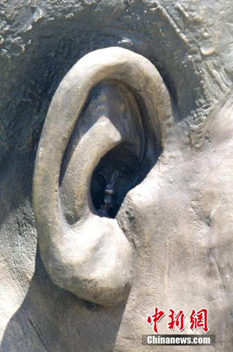 ��������������ͭ������ڡ����ء����ӣ���ͼ����3��