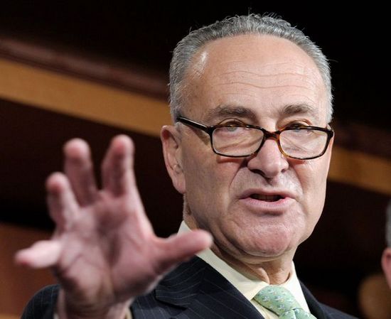 美民主党建议移民改革先立法奥巴马下台后生效