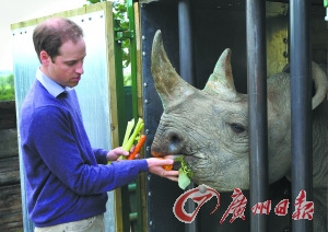 Ӣ����������������������ȥ���Ա������в�һ