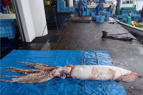 �ձ����ذ�Ƶ�֡���������������ˮ�¹��ͣ�ͼ��