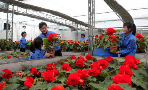 ���ʾ��е�18�조�����ջ��ڡ���ף�䵮����ͼ��