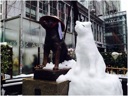 日本民众雪中作乐为忠犬八公雕像堆砌小伙伴