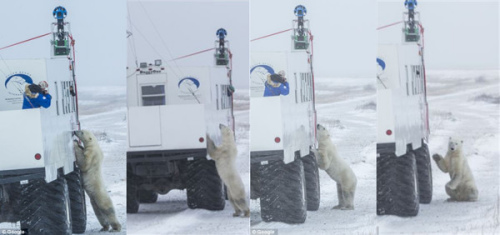 �����ܡ�ɧ�š��ȸ����㳵���������Ͼ�����ͼ��