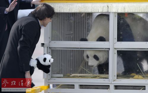 Ӣý���й�������è�⽻���������⺭