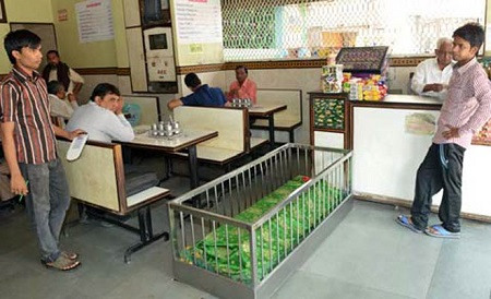 印度老板坟场上开餐馆食客坐棺材旁用餐(图)