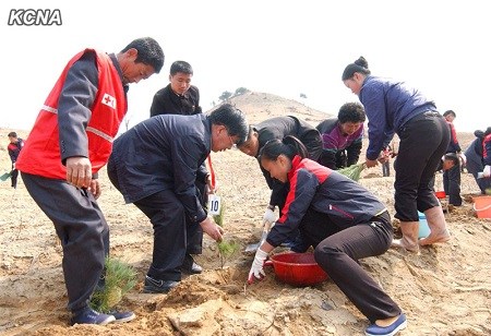 朝鲜举办春季青少年红十字植树活动(图)