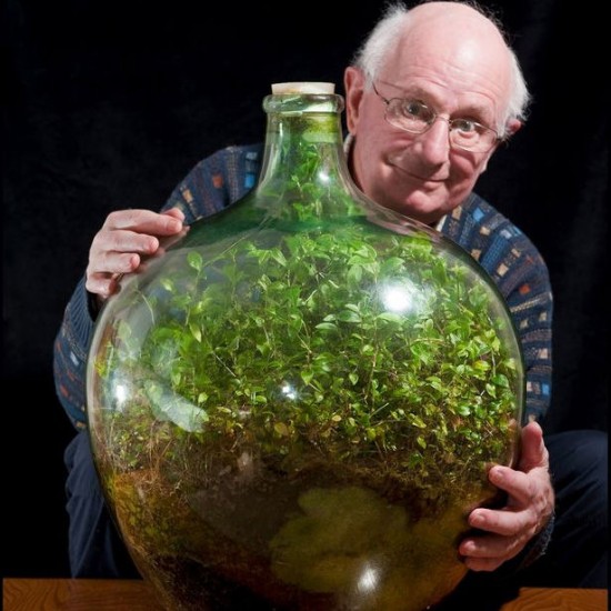 英40年未浇水瓶装花园仍生长旺盛