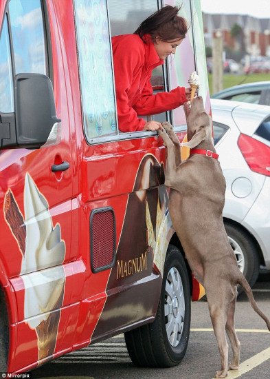 ����������������Ա���������æ������ͼ����2��