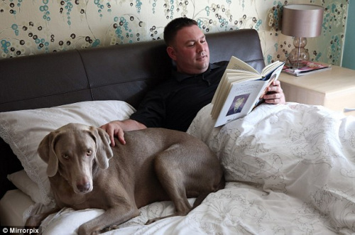 ����������������Ա���������æ������ͼ����3��