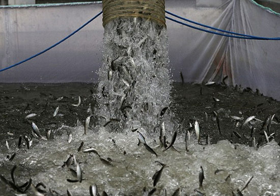 ��������������3000�����㱻ת����̫ƽ��ͼ��