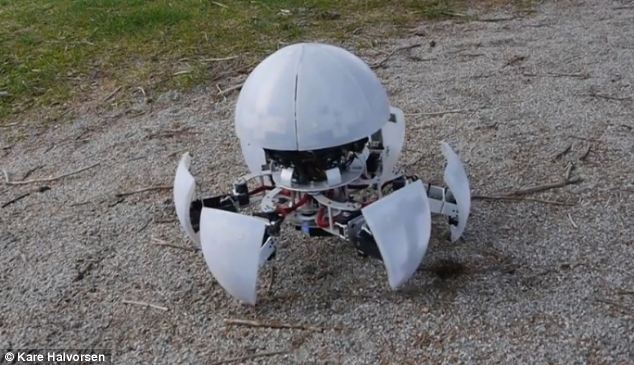 Ų�����׾������ڼ�Ϊ�����������˵���飨ͼ��