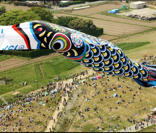 日本琦玉县用起重机升起全国最大鲤鱼旗(图)