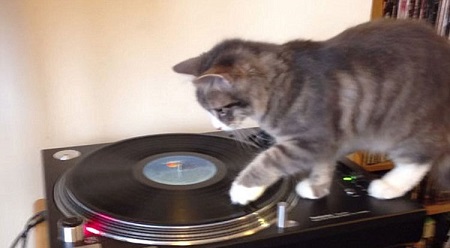 Сè��DJ����צ�ӡ����̡���Ƶ�������磨ͼ��