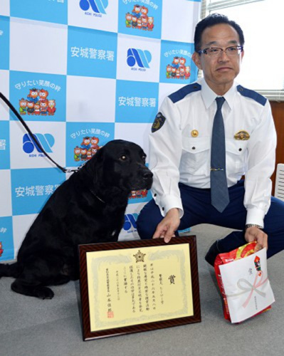 日本一警犬屡建奇功警方奖励狗粮及奖牌(图)