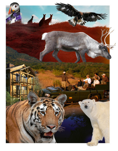 印度看老虎美国寻野狼全球冒险之旅大盘点(图)