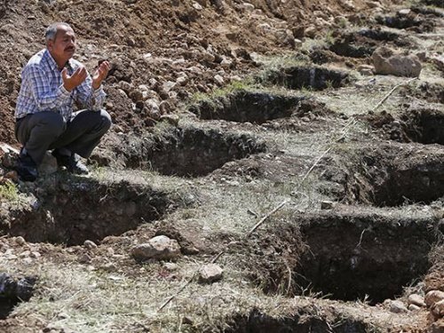 �������������283������ĹĹѨ�������ز���