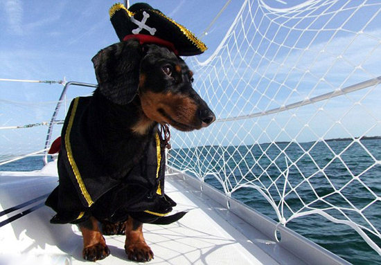 ���˴���Ȯ�������й������ݻ�����װ�㣨��ͼ��