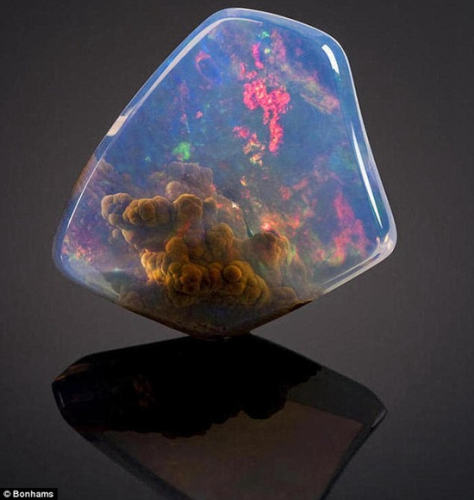 ����è����׹�ڲ�ͼ����������������ۼ����ͼ��