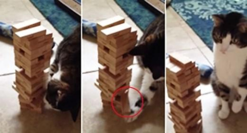 è�����ľ��Ƶ�ߺ����Ѿ�̾�����ˡ����̸ߡ�