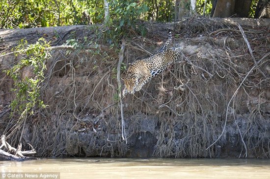 ���ޱ����Ӳ�ˮ̡����ˮ̡Ǳˮ���һ�٣���ͼ��