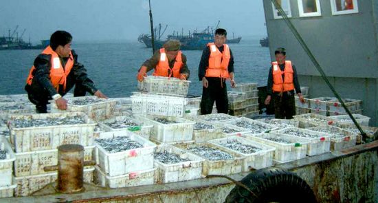 朝鲜西海渔场掀起捕鱼热潮渔船作业你追我赶(图)