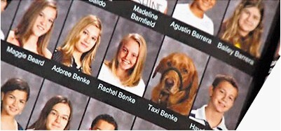 美国忠犬陪生病主人上学4年同登毕业册(图)