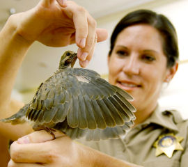 �������������治�а������㡢�����Ϳ�ȸ��ͼ��