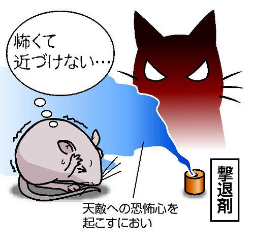 �ձ��Ƴ����������ʹ��������г��ֵľ��ָ�