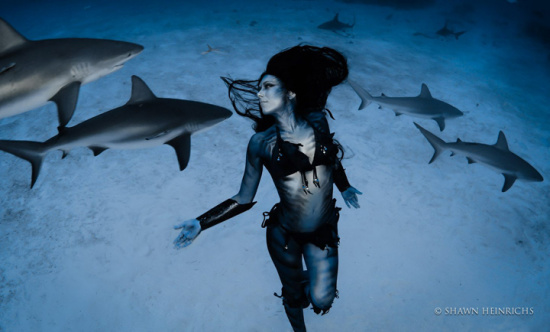 ��Ůˮ��������Ⱥ���裺�����������Ľ��ţ�ͼ����6��