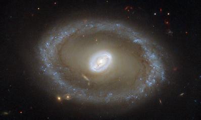 哈勃望远镜发现新生恒星呈金色环状(图)