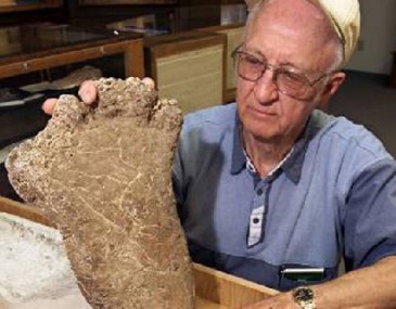 牛津研究证明世界上并无“大脚怪”等异类存在