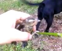 С�������¾���ˮС�����ݶ���桰Ӣ�۾�����