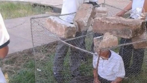 ī����ѧ��ΧŹ����ͬѧ�������������㷺����