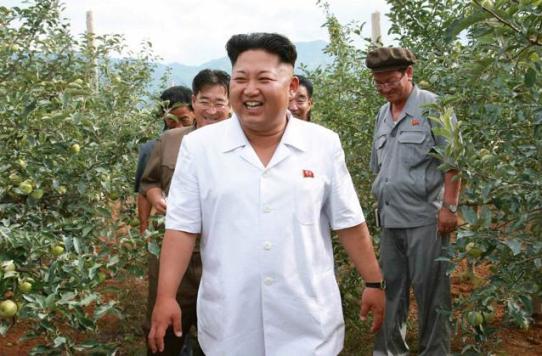 金正恩视察果木农场赞其世外桃源让人诗兴大发