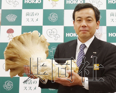 日本巨型杏鲍菇创世界纪录长59厘米重超7斤(图)