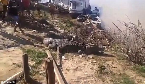 �������Ӵ��������������ձ�ҧ������һƬ��ͼ��